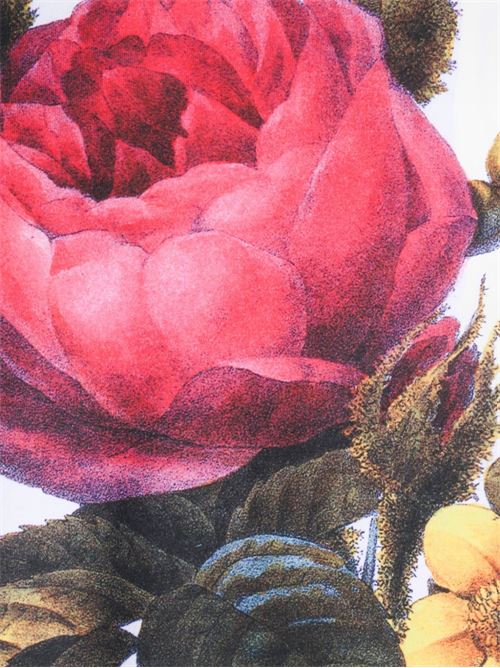  VIVIENNE WESTWOOD | 3G01005I J00B9A401